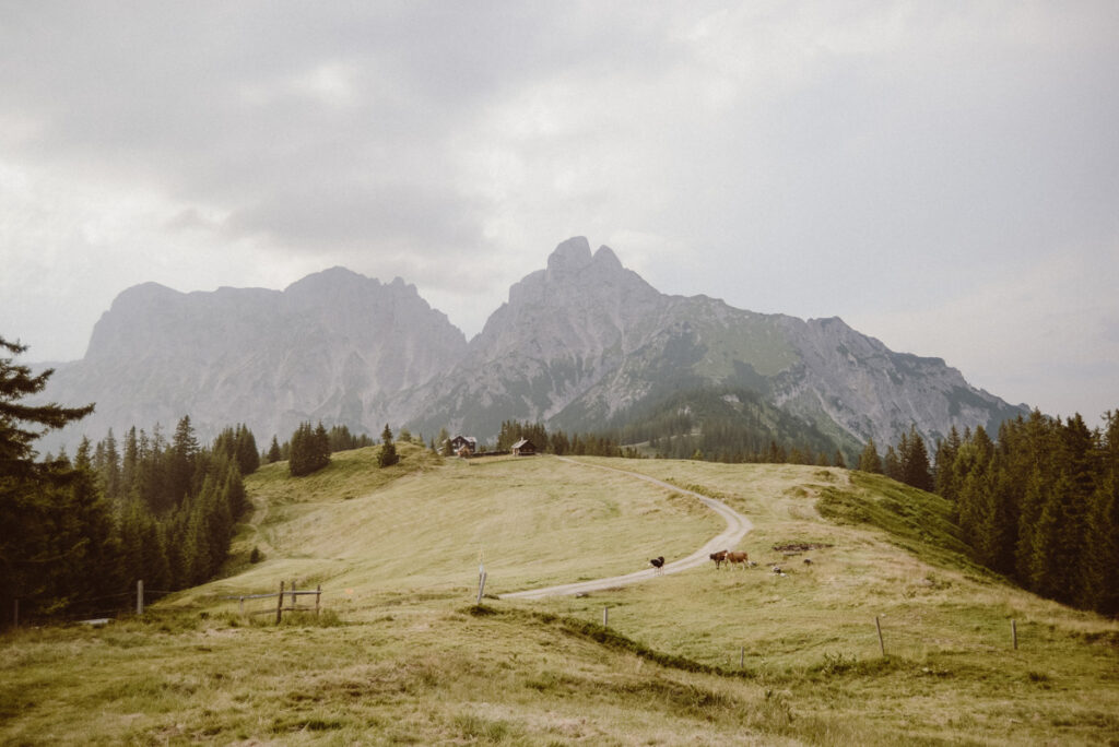 Hochzeitsfotograf Kirchdorf an der Krems