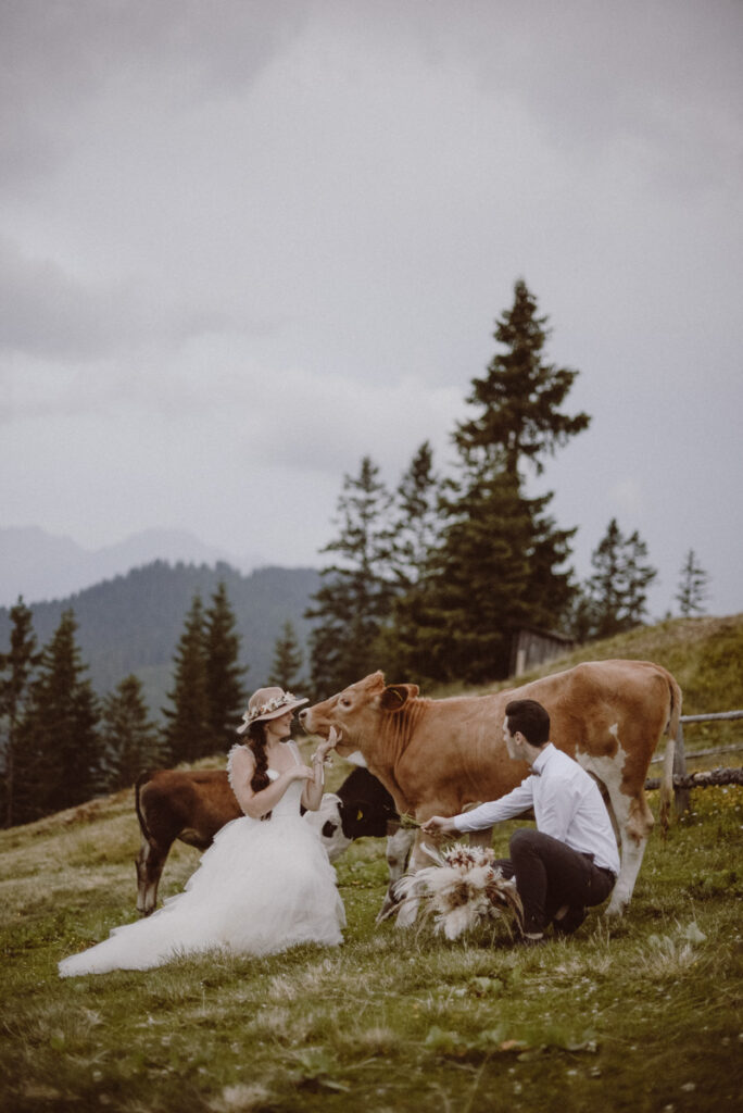 Hochzeit Fotograf Kirchdorf an der Krems