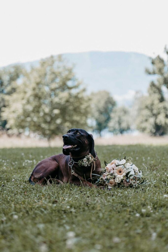 Heiraten im Toscanapark Gmunden