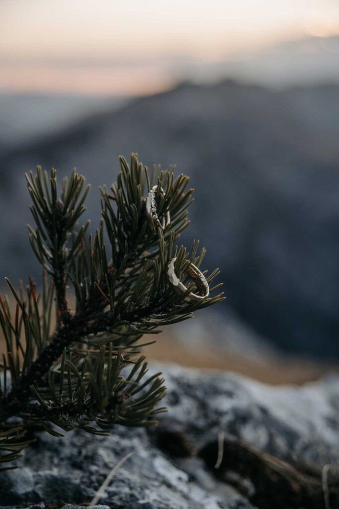 Hutterer Böden Wandern