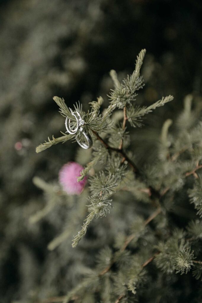 Hochzeitsfotos am Berg