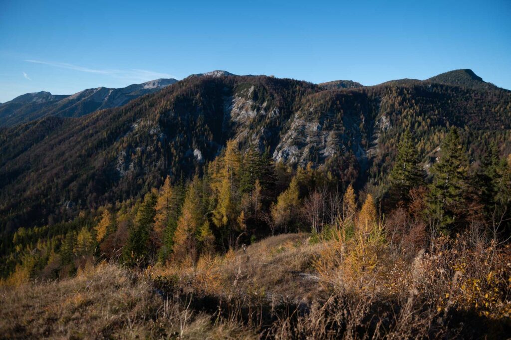 Paarfotos Windischgarsten