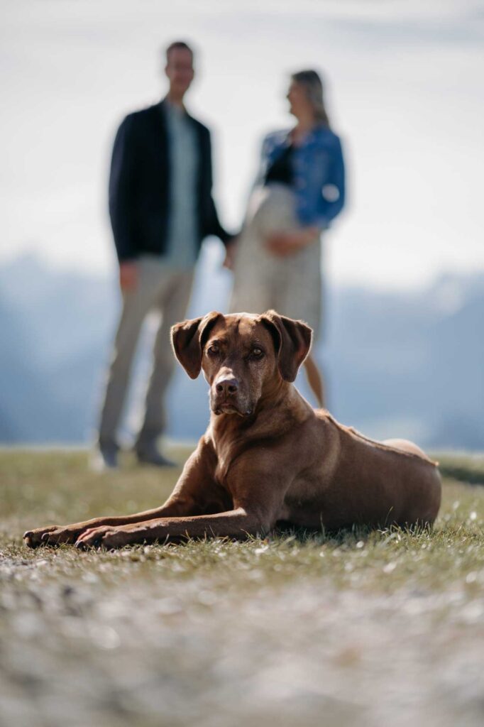 Babybauchfotos am Berg