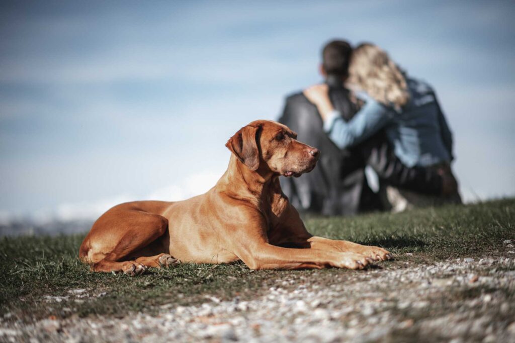 Babybauchfotos am Berg