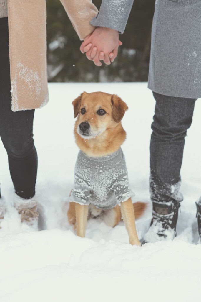 Paarfotos Kirchdorf in Krems