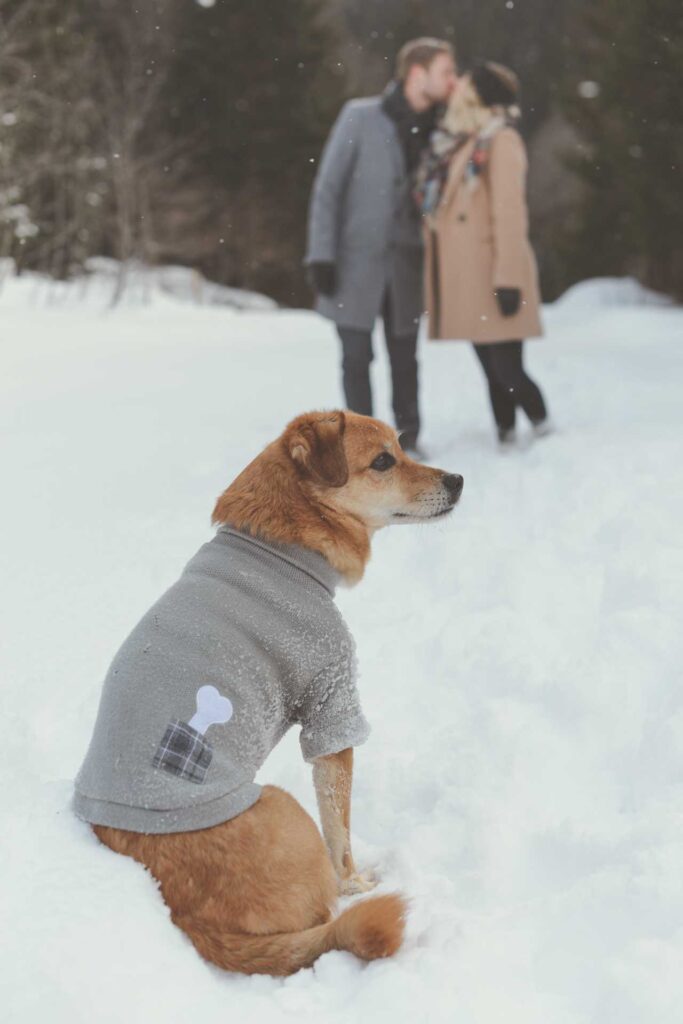 Paarfotos Micheldorf