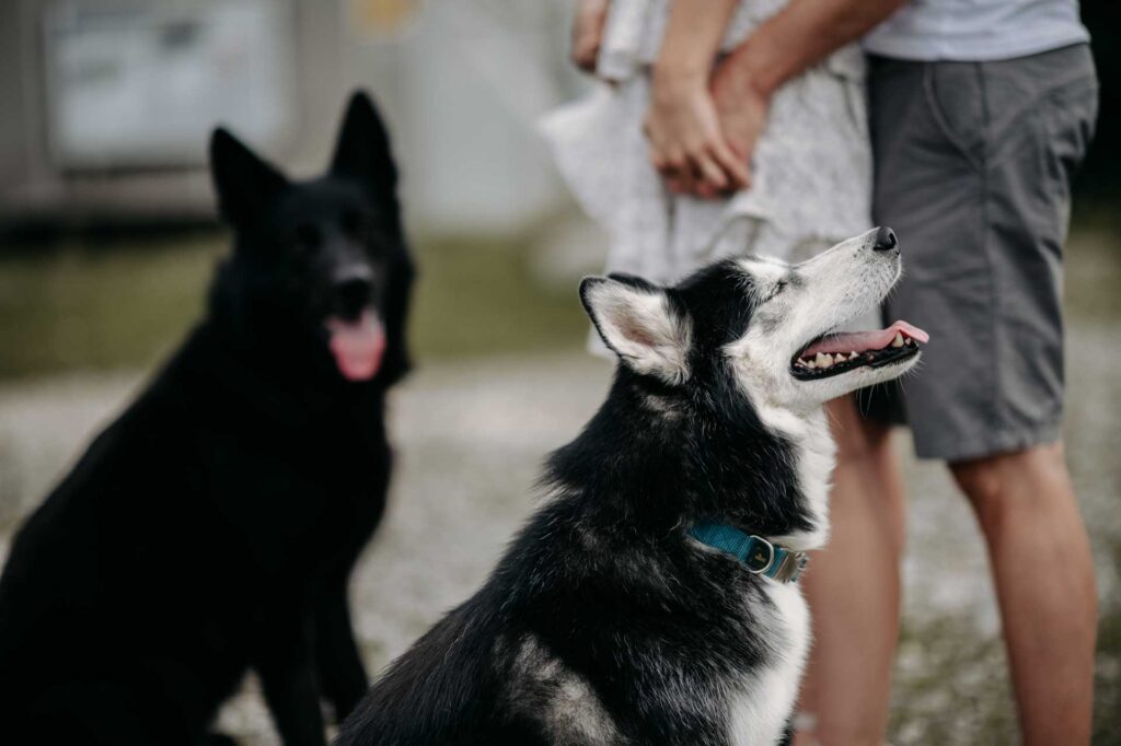 Hochzeitsfotograf Kirchdorf an der Krems