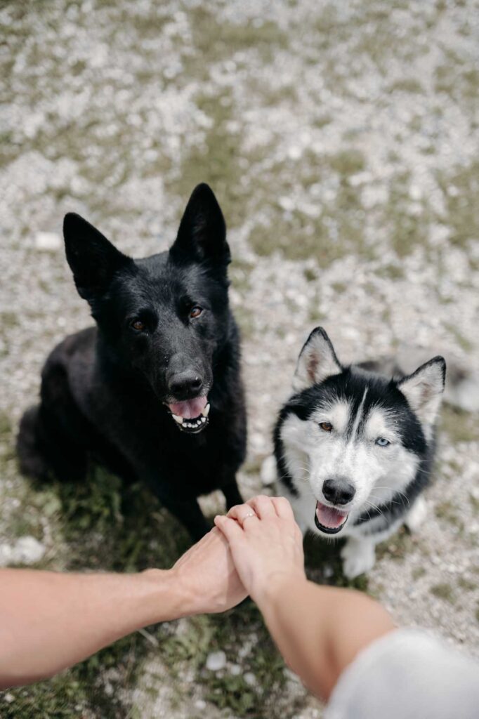 Hochzeitsfotograf Ternberg