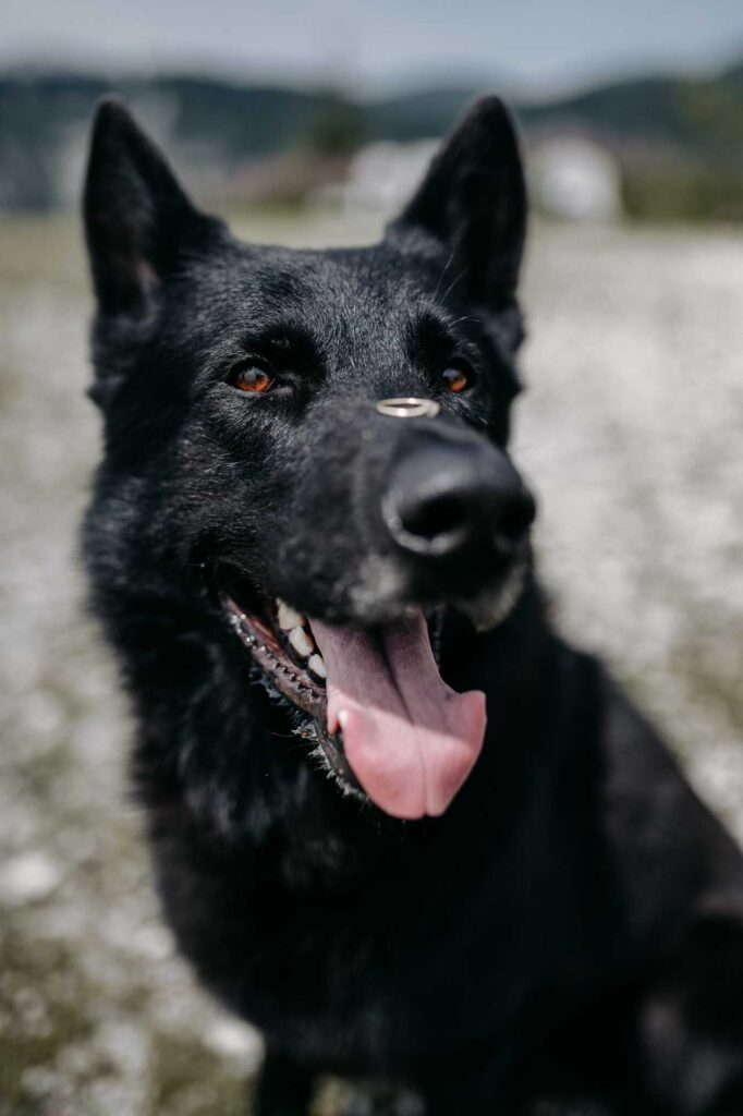 Hochzeitsfotograf Ternberg