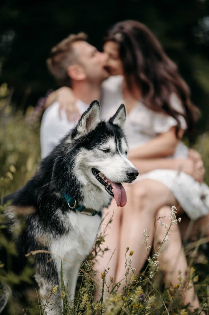 Verlobungsfotos Steyr