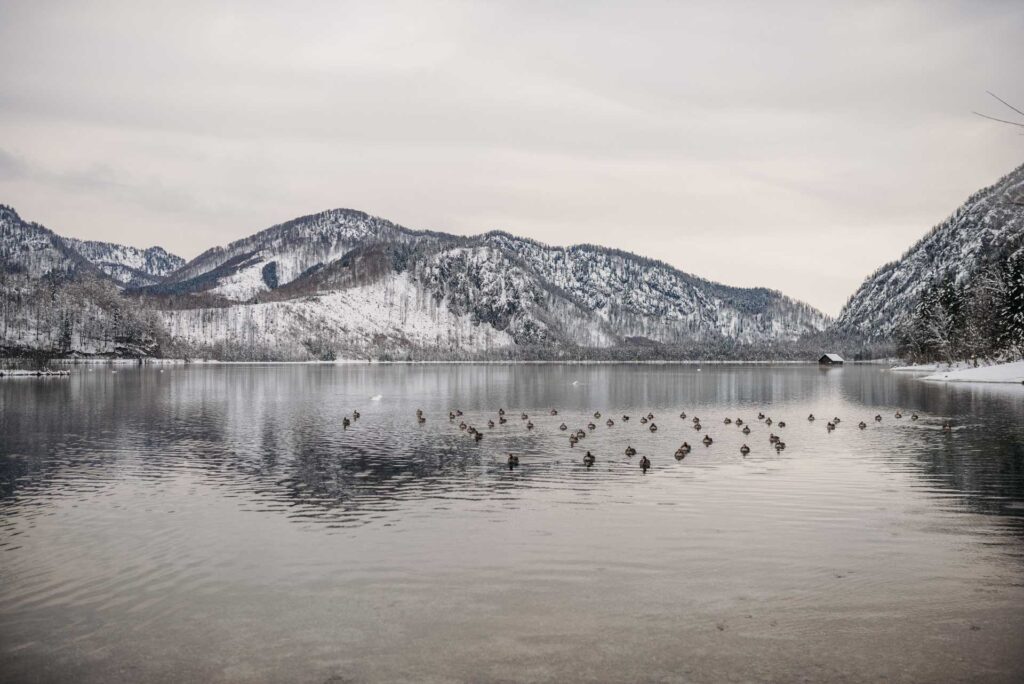 Hochzeitsfotograf Micheldorf