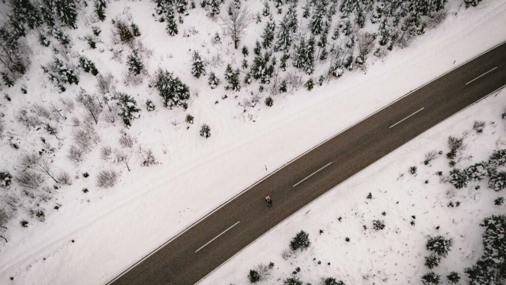 Verlobungsfotos am Almsee