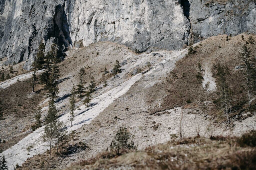 Fotograf Windischagarsten