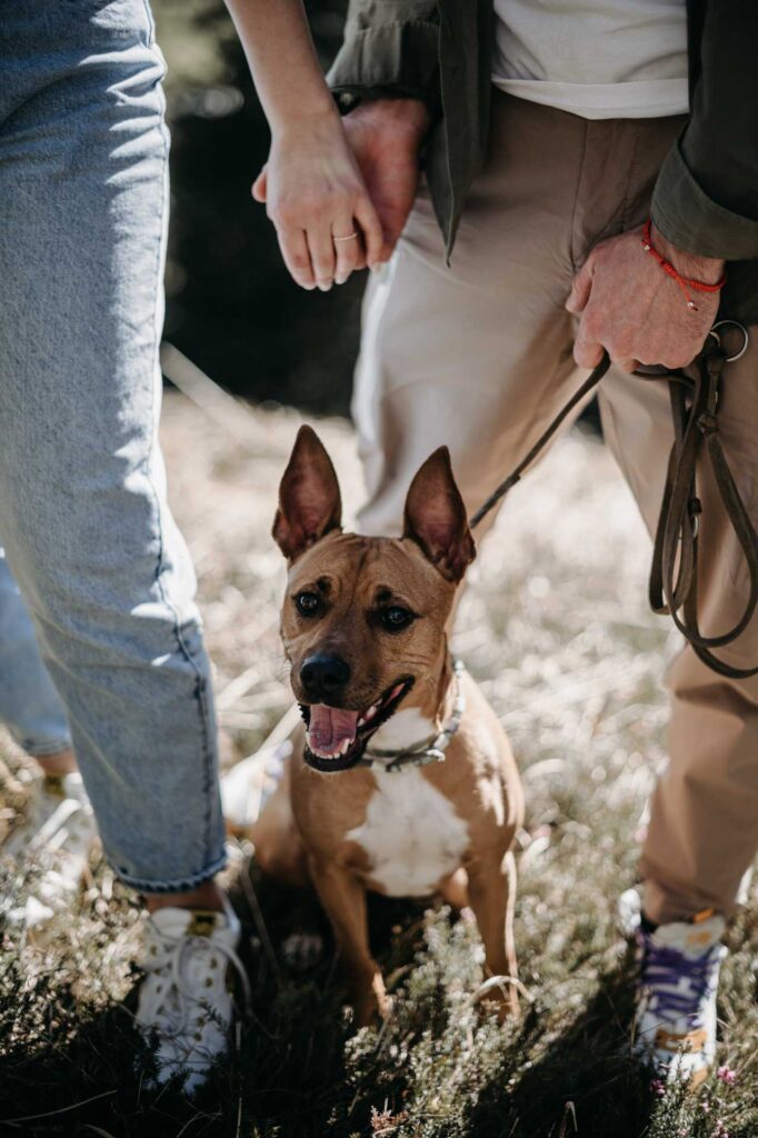 Fotograf Hinterstoder