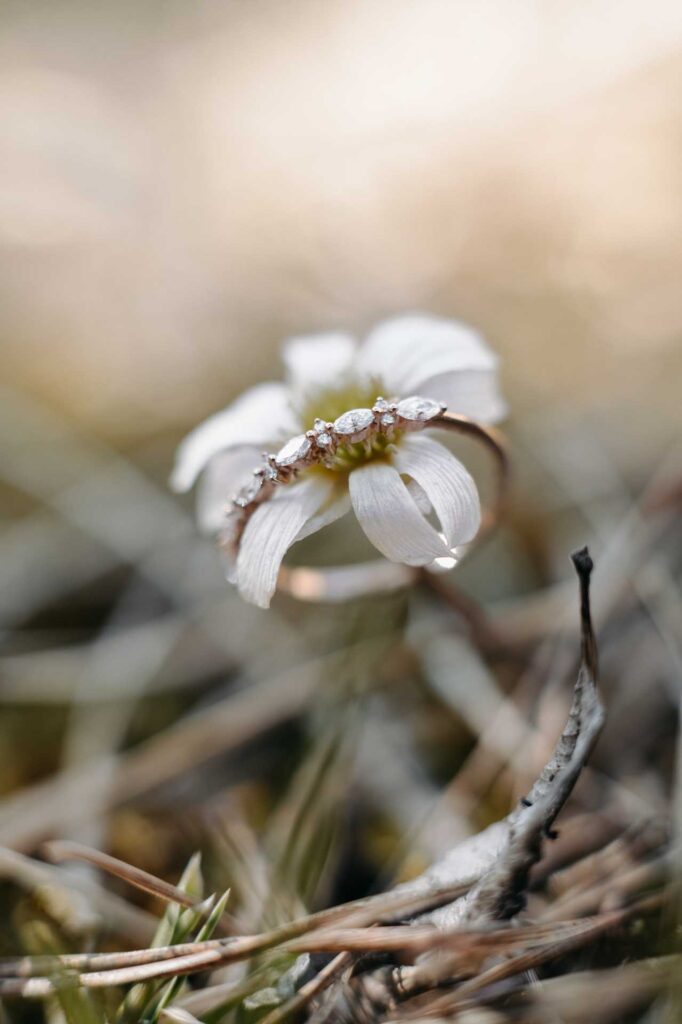 Verlobungsfotos in den Bergen