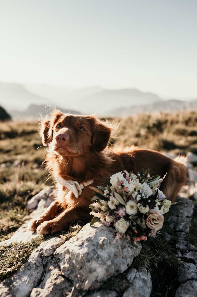 Hochzeitsfotos in den Bergen