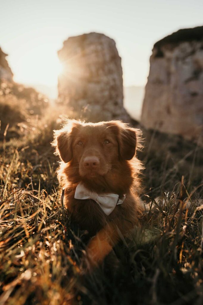Hochzeitsfotos am Berg