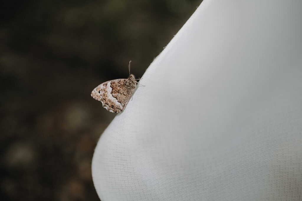 Elopement in den Bergen in Österreich