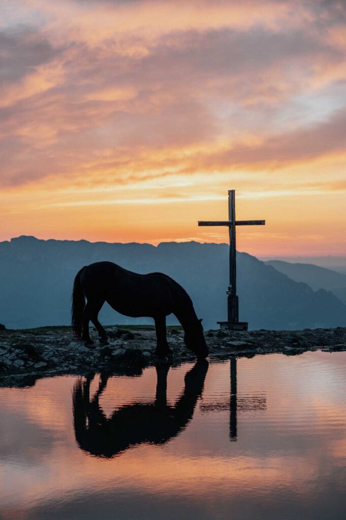 Afterweddingfotos in Salzburg