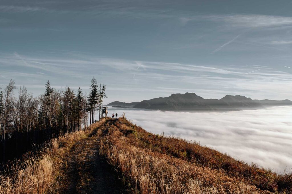 Verlobungsfotos am Berg in Österreich